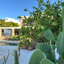 21a3d60f-6cc6-4149-b068-9a05ac306820