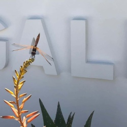 WhatsApp Image 2018-05-26 at 16.10.16