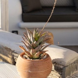 WhatsApp-Image-2023-07-16-at-19.02.23