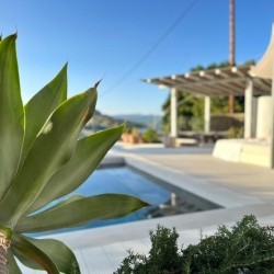 c4a4a583-97f4-4580-8c1b-61590ae46743